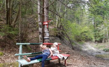 Как да накараме дете на 3г да извърви 5км, за да види водопад?