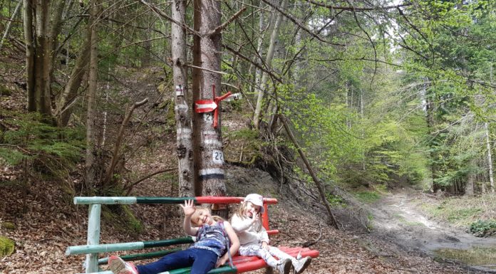 Как да накараме дете на 3г да извърви 5км, за да види водопад?