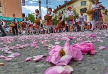 Празник на розата – 5 събитя, които не трябва да пропуснете