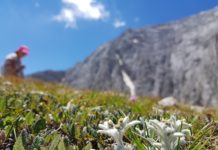 С деца на връх Вихрен деца на връх Вихрен