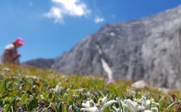 С деца на връх Вихрен деца на връх Вихрен