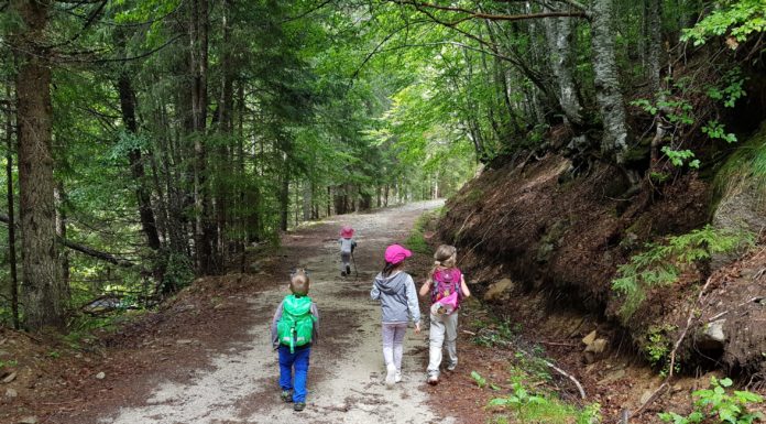 Възраст и възможности