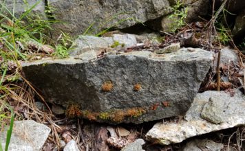 С деца на планина: всичко от значение не може да бъде сметнато – опит за ретроспекция на 2018