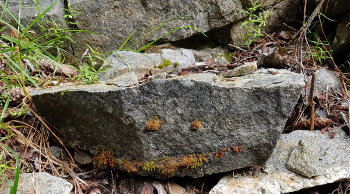 С деца на планина: всичко от значение не може да бъде сметнато – опит за ретроспекция на 2018