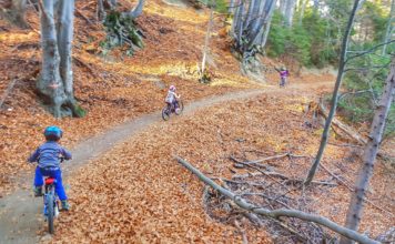 Витоша 20/100 – с три деца от Железница до Драгалевци