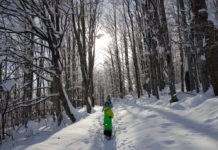 През зимата на Витоша с деца: Копитото-Боянски водопад-Бояна