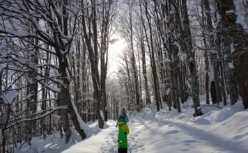 През зимата на Витоша с деца: Копитото-Боянски водопад-Бояна