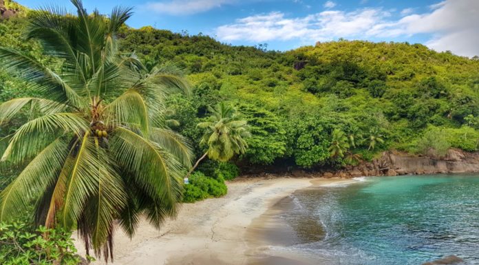 Почивка на Сейшелите – 8 неща, които да направите на остров Махе Почивка на Сейшелите