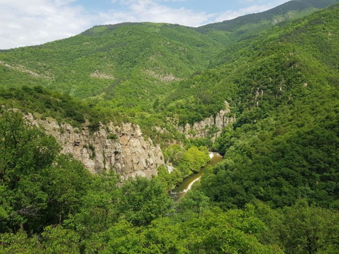 20190518_145932_Fotor