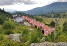 Хижа Вихрен – заслон Спано поле: традиционнен летен преход с деца