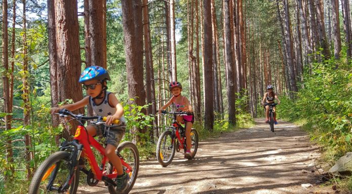 Отново на колела по панорамната пътека на Витоша