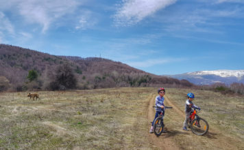 Велоизлет в Плана планина – с колело от Белите брези до Дяволския мост Велоизлет в Плана планина