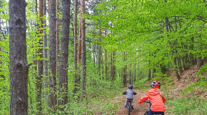 Владая – Рударци по маршрута на Витоша 100