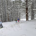 ски туринг на Витоша с деца