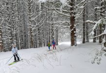Защо една тривиална разходка се превърна в уникално преживяване? ски туринг на Витоша с деца