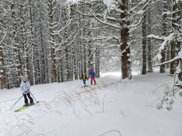 ски туринг на Витоша с деца