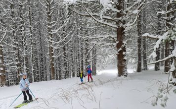 Защо една тривиална разходка се превърна в уникално преживяване? ски туринг на Витоша с деца