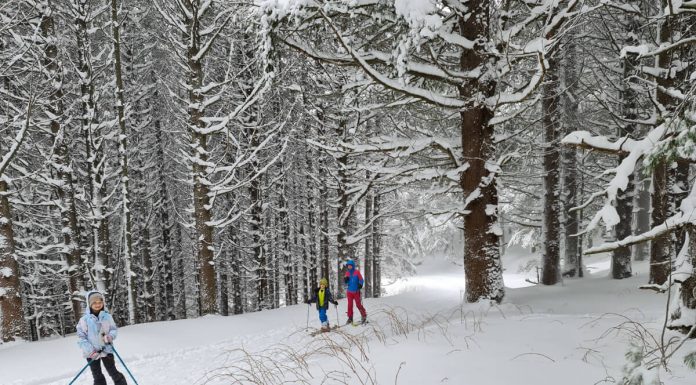 Защо една тривиална разходка се превърна в уникално преживяване? ски туринг на Витоша с деца