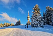 Алтернативна зимна почивка на Пампорово