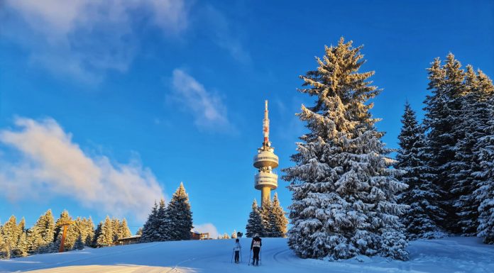 Алтернативна зимна почивка на Пампорово