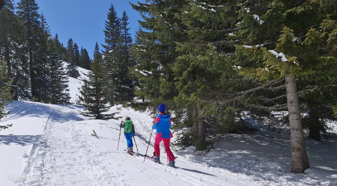 Ски туринг с децата до хижа Мальовица