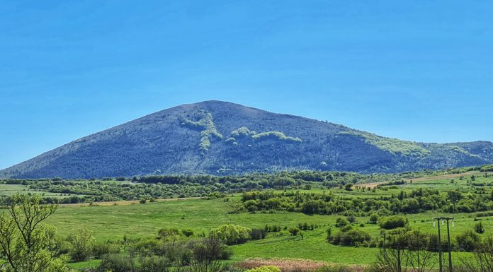 До връх Любаш -един от най-обзорните първенци в България връх Любаш